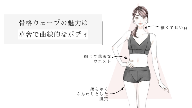 骨格ウェーブの魅力は華奢で曲線的なボディ
細くて長い首
細くて華奢なウエスト
柔らかくふんわりとした肌質